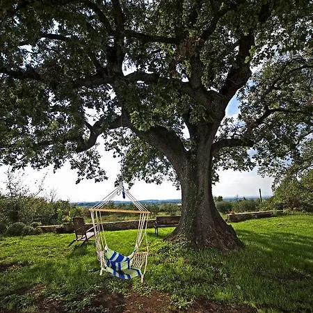 Villa Dream